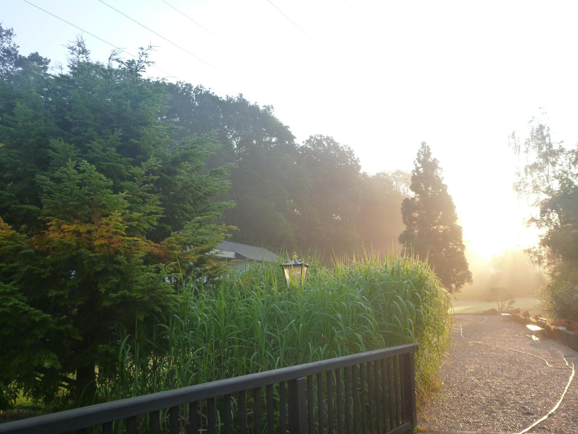 Romantik Waldhotel Mangold Bergisch Gladbach Luaran gambar